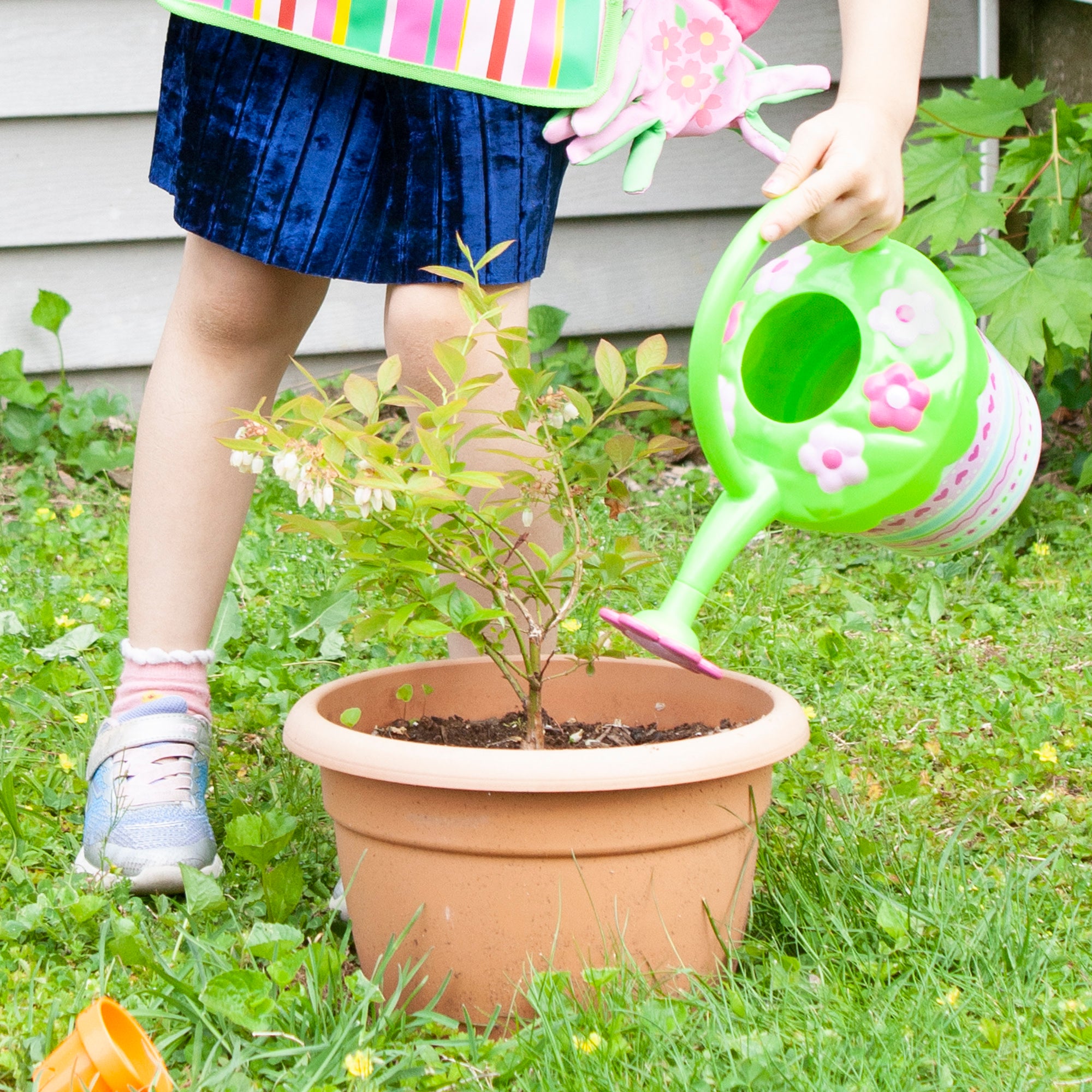 Pretty Petals Watering Can - Image 6